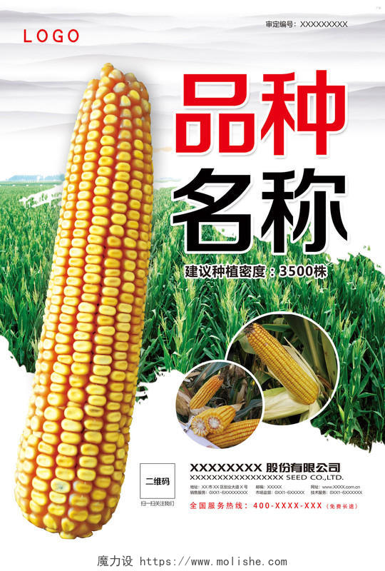 种植玉米种子品种粮食农产品海报